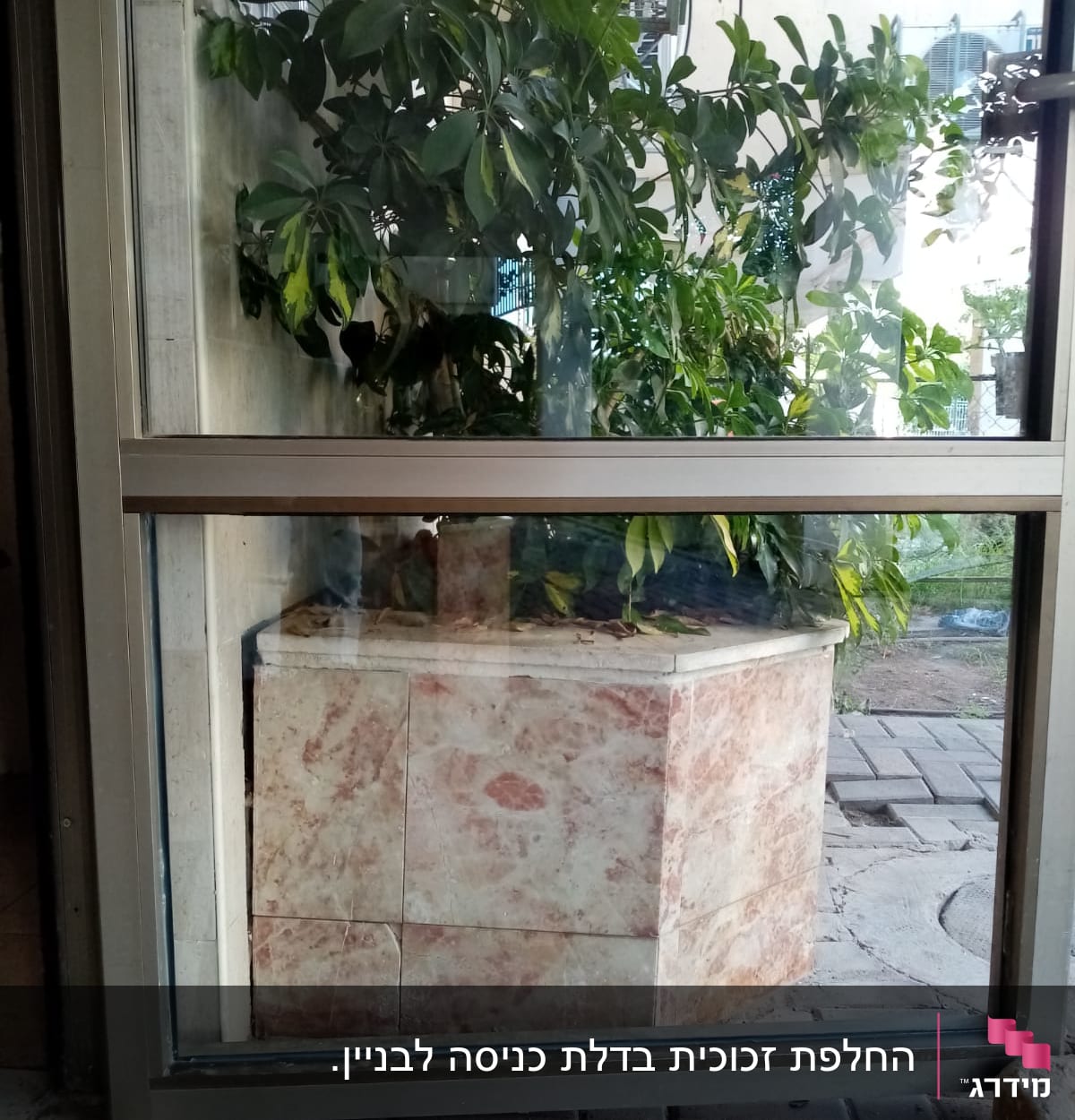 זכוכית חלון עם צמחייה ברקע